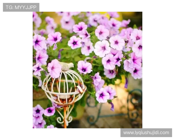 李添荣的奋斗历程与人生哲学探讨：从普通青年到行业领军人物的蜕变之路