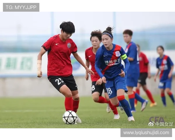 广州排球队在城市联赛中以73分稳居积分榜首位展现强劲实力